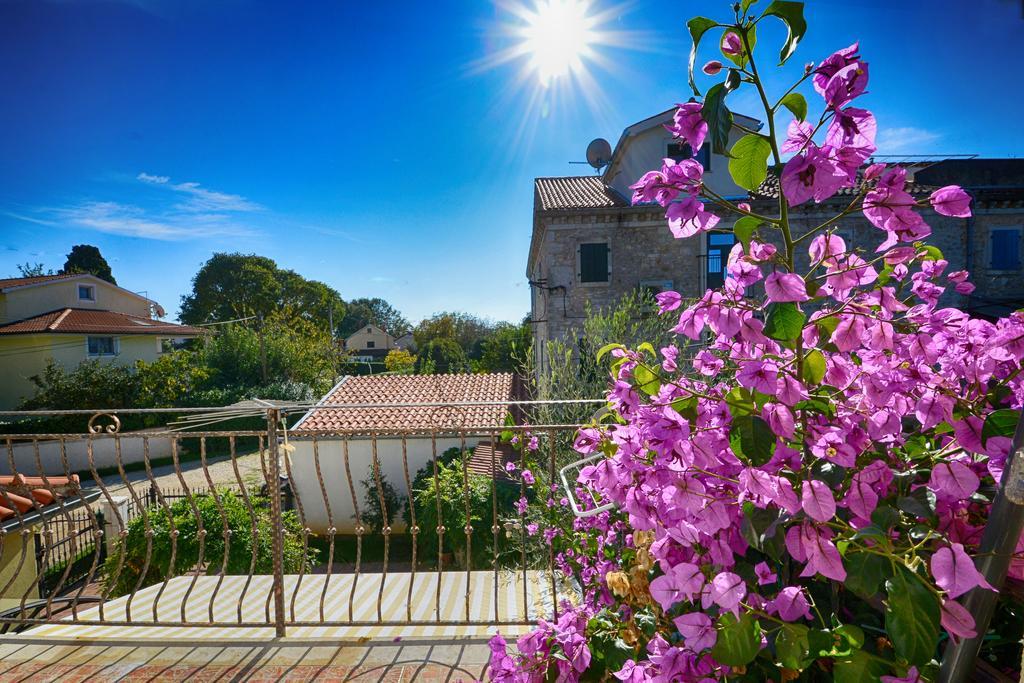 Sonja Vacation House Poreč Extérieur photo